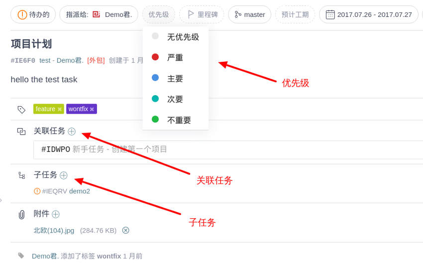 如何使用 Issue 管理软件项目？