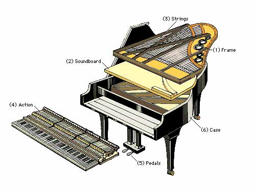 钢琴的发声原理图片